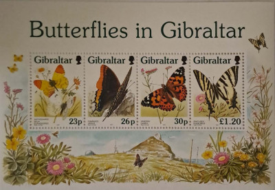 Bloc de timbre nestampilate cu tematica Fluturi Gibraltar in stare perfecta MNH foto