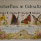 Bloc de timbre nestampilate cu tematica Fluturi Gibraltar in stare perfecta MNH
