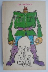 Unde dai si unde crapa &ndash; Gh. Braescu