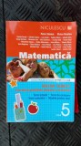 MATEMATICA CLASA A V A EXERCITII SI PROBLEME PETRE SIMION ,VICTOR NICOLAE