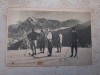 Prahova - Ski in Bucegi ., Circulata, Fotografie