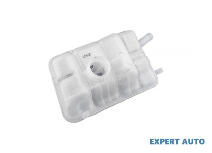 Vas expansiune Nissan Qashqai (2007-&gt;)[J10,NJ10,JJ10E] #1