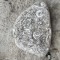 Rocă Fosilifera