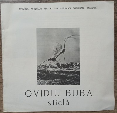 Program expozitie Ovidiu Buba 1987 foto
