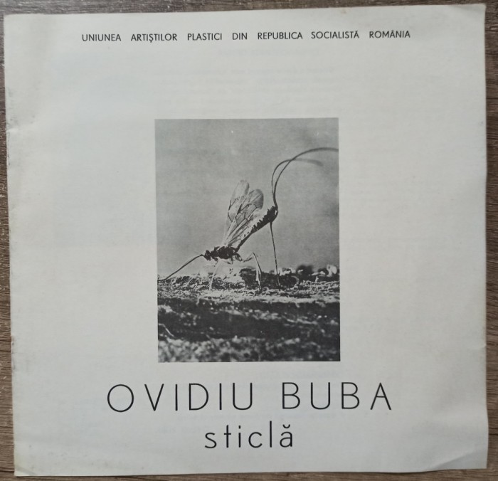 Program expozitie Ovidiu Buba 1987