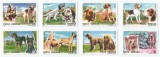 |Romania, LP 1239/1990, Expozitia Mondiala Canina, Brno, MNH, Nestampilat