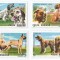 |Romania, LP 1239/1990, Expozitia Mondiala Canina, Brno, MNH