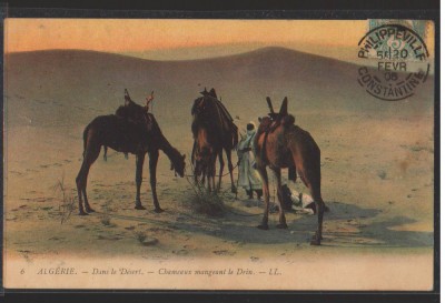 CPIB 16722 CARTE POSTALA - ALGERIA. IN DESERT, CAMILE, 1908 foto