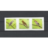 BRAZILIA 2017 FAUNA PASARI