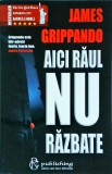 Aici Raul Nu Razbate - James Grippando, Thriller, 2004, Romana, Brosata, 13x20 cm
