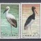 CHINA 1992 FAUNA PASARI SERIE MNH