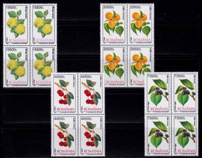 RO 2002 / LP 1596 , &quot;Fructe&quot; , serie in bloc de 4 , MNH