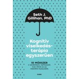 Kognit&iacute;v viselked&eacute;ster&aacute;pia egyszerűen - 10 m&oacute;dszer a szorong&aacute;s, depresszi&oacute;, d&uuml;h, p&aacute;nik &eacute;s az agg&oacute;d&aacute;s kezel&eacute;s&eacute;re - Seth J. Gillihan