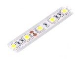 Bandă LED Alb Rece 12V IP65 14,4W/m