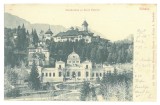 1666 - SINAIA, Prahova, Monastery, Litho, Romania - old postcard - unused