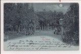 Carte postala circulata in anul 1904 Targu-Neamt