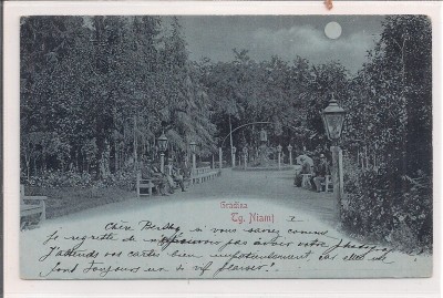 Carte postala circulata in anul 1904 Targu-Neamt foto