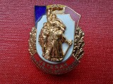 Insigna veteran din razboiul antifascist.