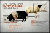 GERMANIA 2016 FAUNA ANIMALE DOMESTICE PORCI SI OI