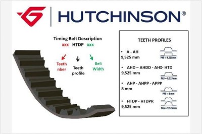 HUTCHINSON 111 HTDP 17 Curea de distributie foto