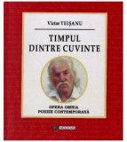 Victor Teisanu - Timpul dintre cuvinte - 126569