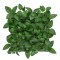 Chihlimbarul II. perete verde din plastic 33x33 cm