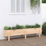 Strat &icirc;nălțat de grădină, 160x30x38 cm, lemn masiv de pin, vidaXL