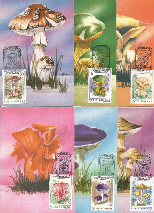 Rom&acirc;nia, Expofil Toamna orăviţeană, maxime, Oraviţa, 1992