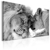 Cumpara ieftin Tablou - Lion&#039;s Love 90x60 cm