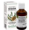 EXTRACT DIN MLADITE DE SEQUOIA 50ML, Plantextrakt