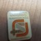 Insigne (10) Industrie Magazin Universal Sfantul Gheorghe