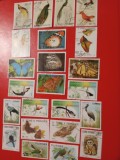 PĂSĂRI, FLUTURI - SERII ȘTAMPILATE, Stampilat