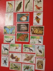 PĂSĂRI, FLUTURI - SERII ȘTAMPILATE