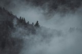 Tablou Canvas, "Pădurea cufundată &icirc;n ceață albăstruie", Ceață, Pădure, Mister, Tăcere, Umbre, &Icirc;ntuneric, Liniște, V&acirc;rfuri, Melancolie, Natură, 39 x 26