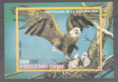 Eq. Guinea 1976 Birds in North America, imperf. sheet, MNH M.044 foto