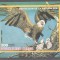 Eq. Guinea 1976 Birds in North America, imperf. sheet, MNH M.044