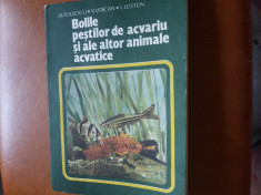 bolile pestilor de acvariu si ale altor animale acvactice radulescu foto