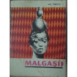 MALGASII-VAL TEBEICA-217521