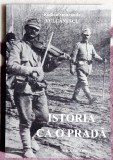 Istoria ca o prada - Rodica Smaranda Vulcanescu