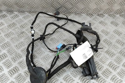 Cablaj ușă st&amp;acirc;nga spate AUDI Q7 4M 2017 OEM: 4M0971687FF 29373607 foto