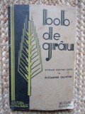 Bob de grau ROMAN PENTRU COPII -Alexandru Calistrat