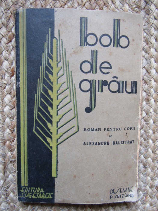 Bob de grau ROMAN PENTRU COPII -Alexandru Calistrat