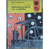 MOLECULELE LA LUCRU-STELIAN APOSTOLESCU-234348