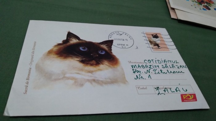 INTREG POSTAL PISICI