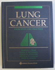 LUNG CANCER - PRINCIPLES AND PRACTICE by HARVEY I. PASS ...JOHN D. MINNA , 2000 foto