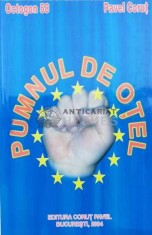 Pumnul de otel - 2004 - Pavel Corut ($B36) foto