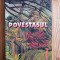 POVESTASUL - Mario Vargas Llosa
