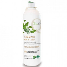 Sampon Bio anti matreata pentru par gras BioQ extras natural Menta, Cimbru si Eucalipt 250ml foto