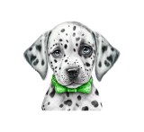 Cumpara ieftin Sticker decorativ Dalmatian, Multicolor, 51 cm, 5950ST, Oem