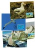 Tristan da Cunha 1999 - Păsări, albatros, fauna WWF, serie 4 carti poștale maxime